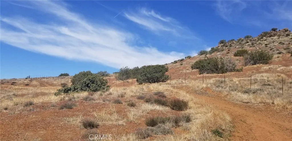 0 Rolandee Street Acton, CA 93510 - Photo 10 of 12 a view of a dry yard with trees