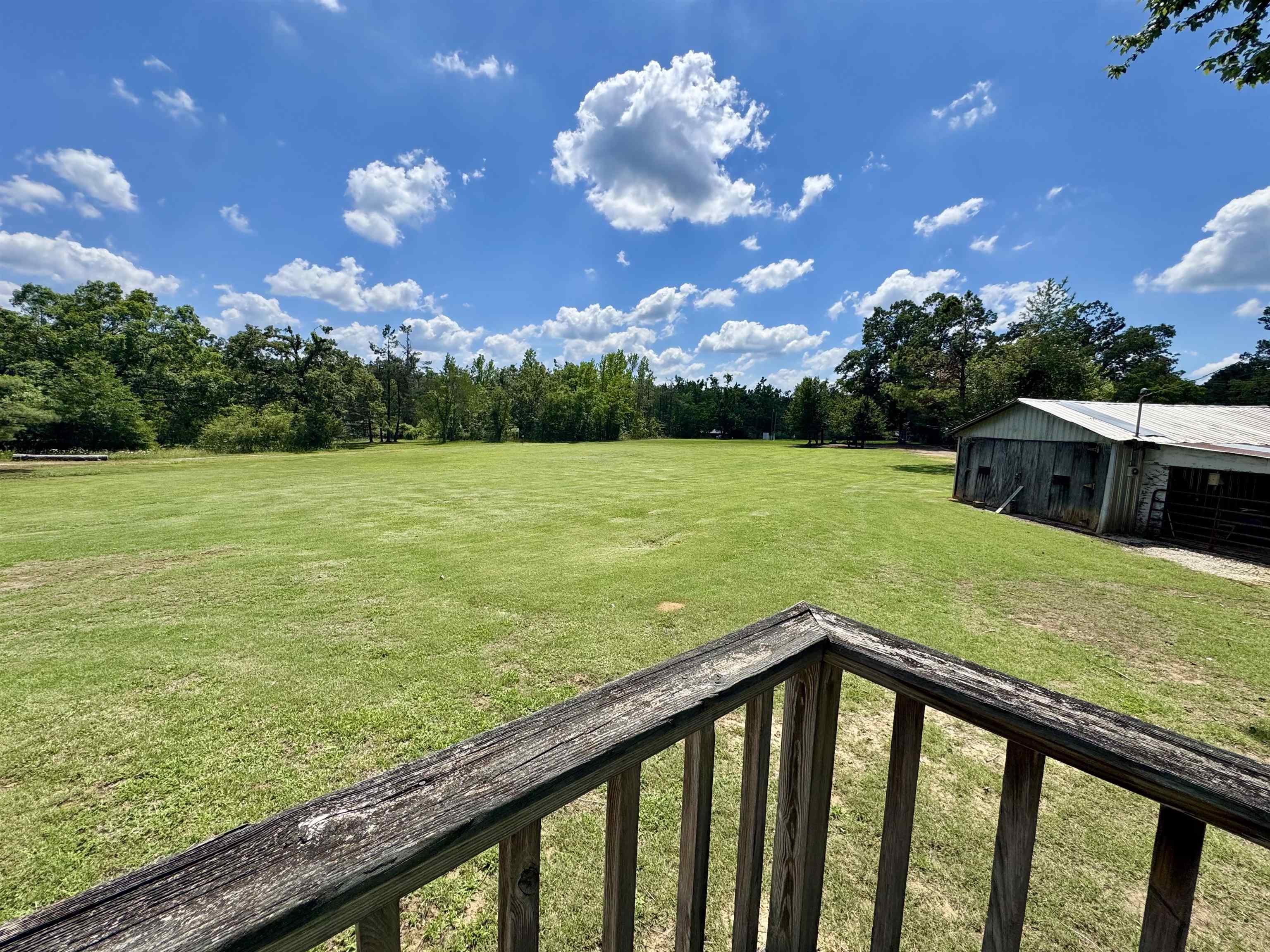 2511 Watkins Road Michie, TN 38357 - Photo 9 of 40 Expansive green lawn surrounded by mature trees, featuring a rustic outbuilding with a metal roof and weathered wood siding