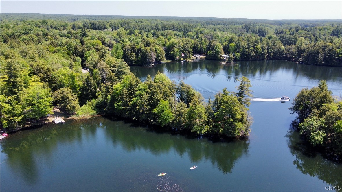 56 Krigbaum Drive Williamstown, NY 13302 - Photo 3 of 48