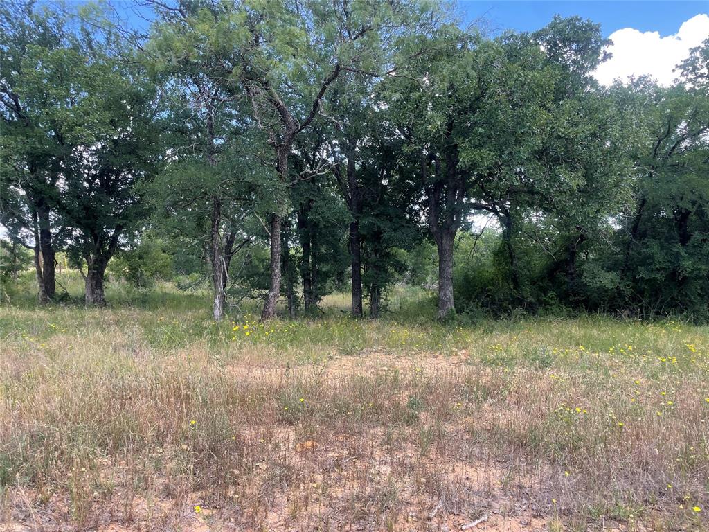 0 Lower Tonk Valley Road Graham, TX 76450 - Photo 27 of 35