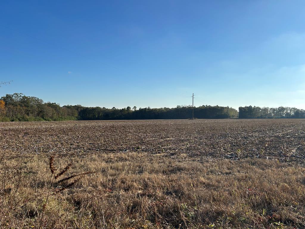 51.8-ac Hadden Road Dothan, AL 36301 - Photo 31 of 43