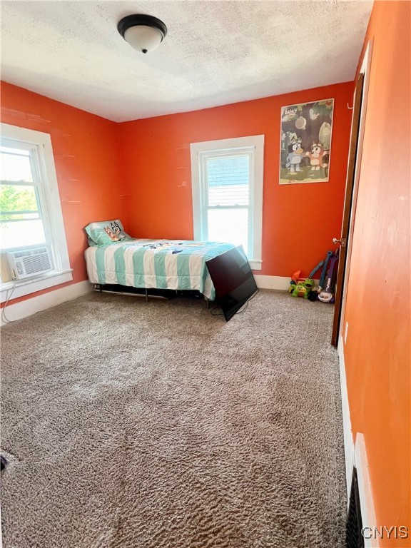 23 Perry Street Auburn, NY 13021 - Photo 14 of 22