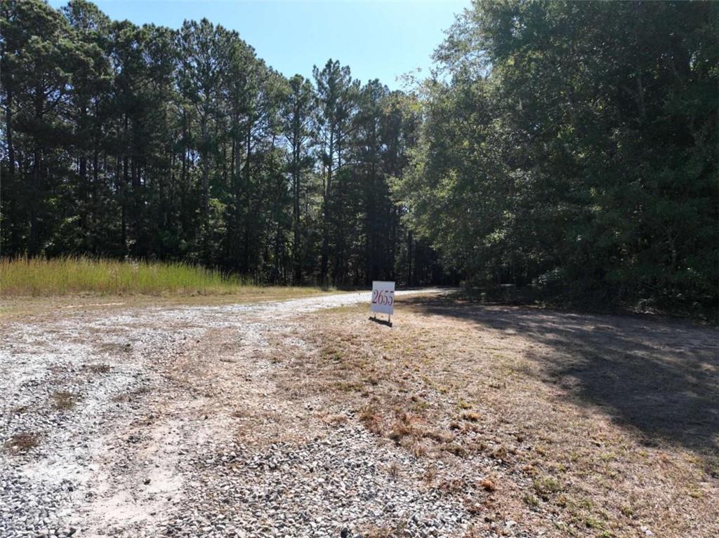 2655 Camp Branch Road Buford, GA 30519 - Photo 15 of 22 a view of outdoor space with trees