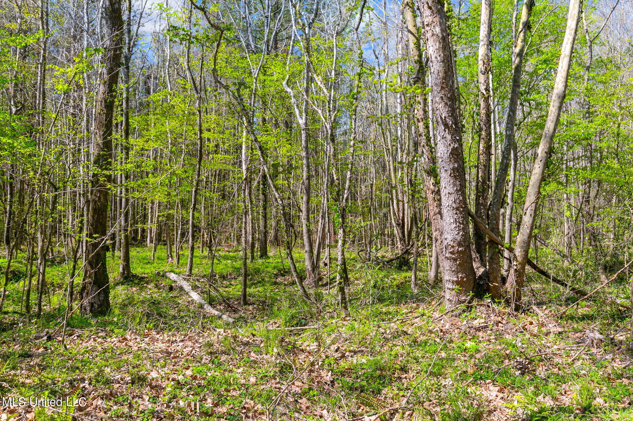 1275 Robinson Road Canton, MS 39046 - Photo 37 of 102 36-web-or-mls-1275 Robinson Rd-35