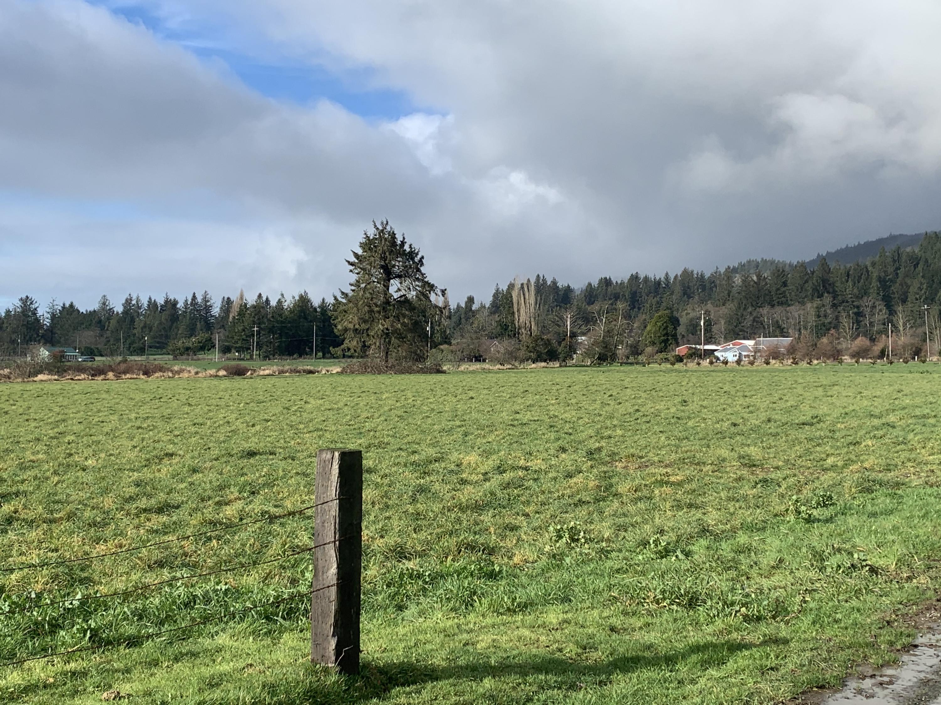 502 Hathaway Road Tillamook, OR 97141 - Photo 1 of 6 IMG-6997