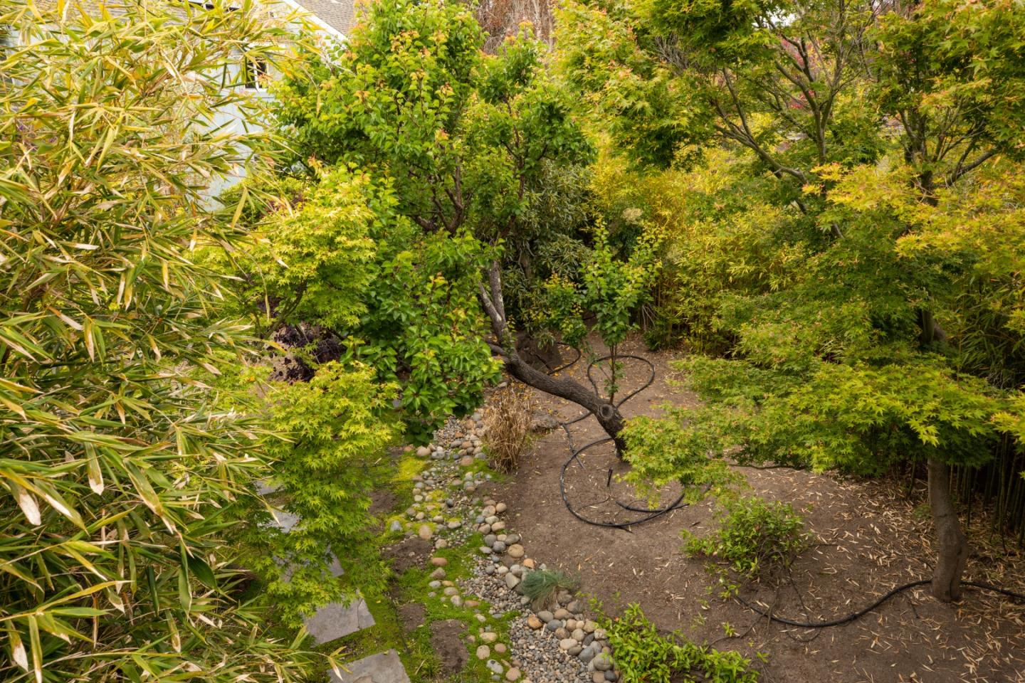 345 Berkeley Way Santa Cruz, CA 95062 - Photo 21 of 39 a view of a yard with plants and tree