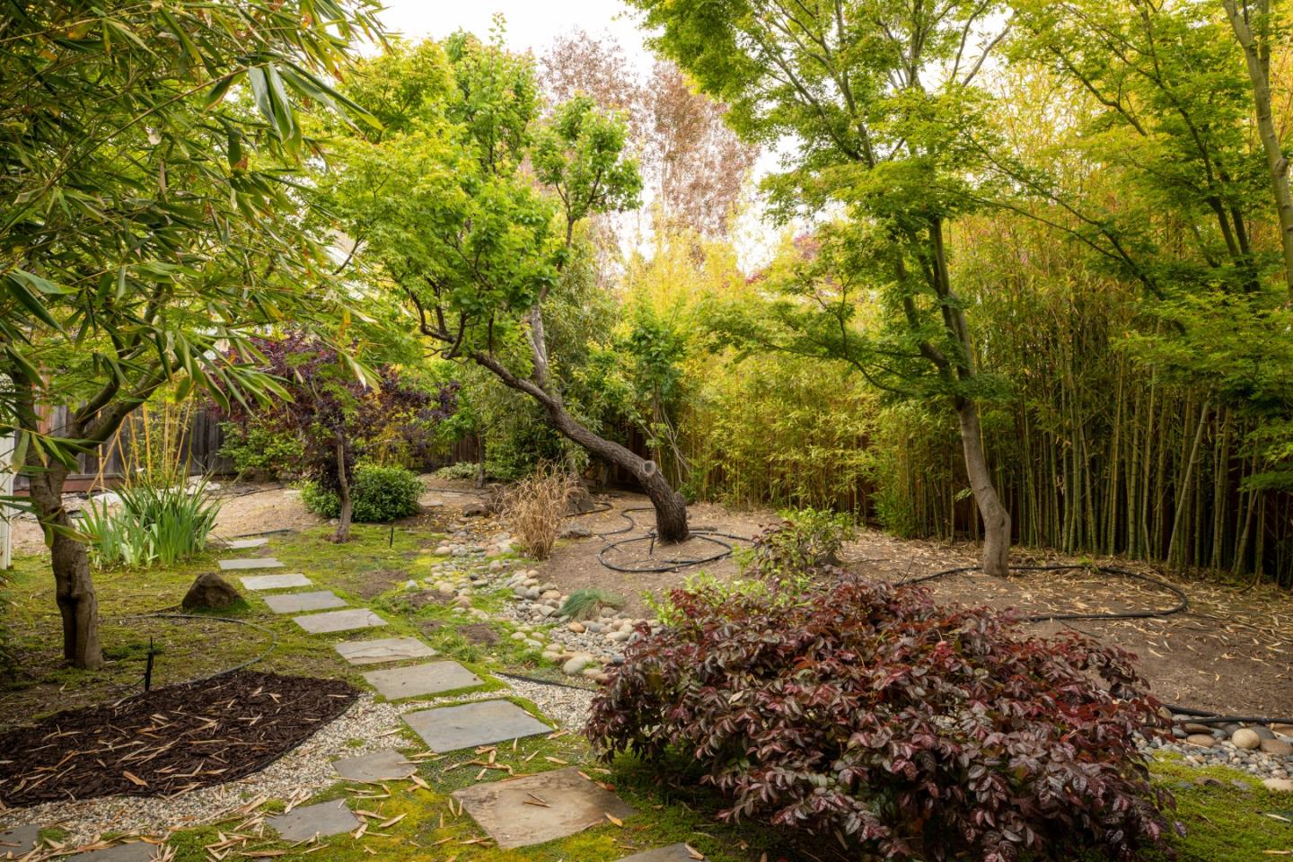 345 Berkeley Way Santa Cruz, CA 95062 - Photo 34 of 39 a view of a yard with trees