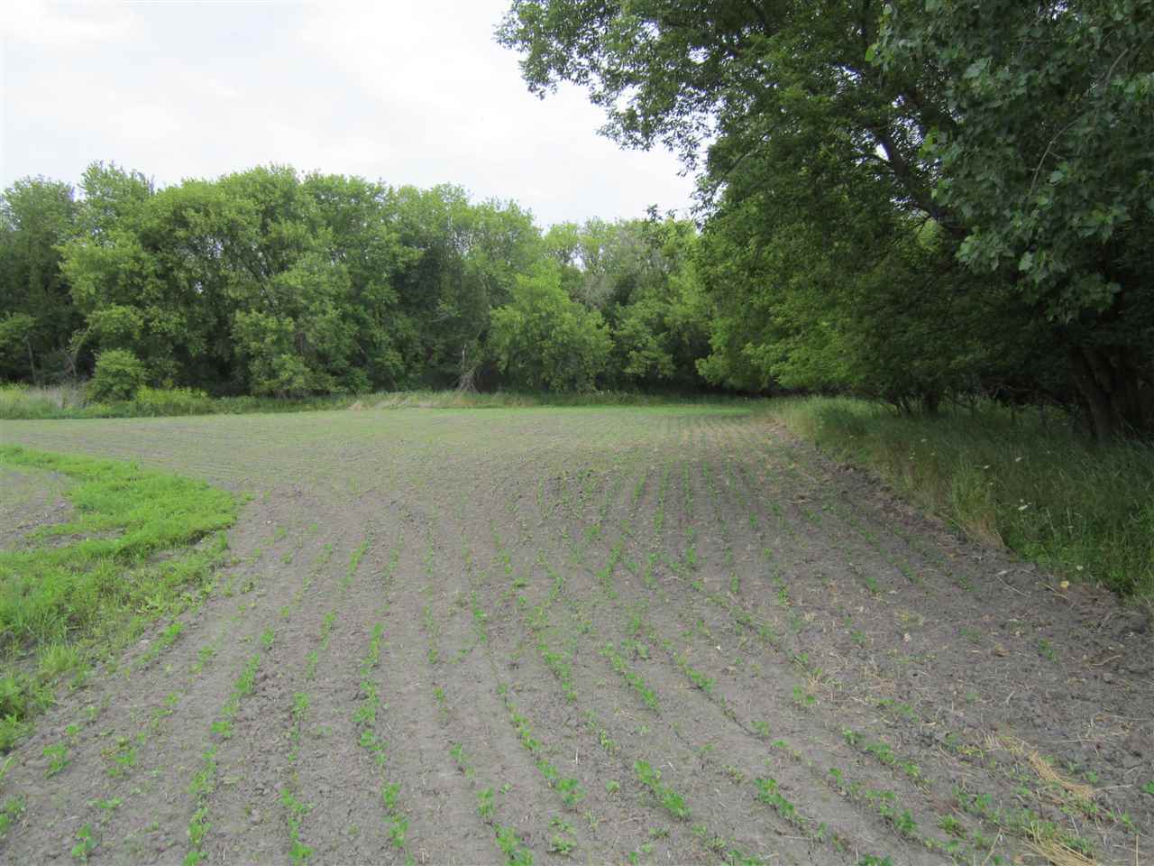 0 West Birch Run Road St. Charles, MI 48655 - Photo 3 of 20