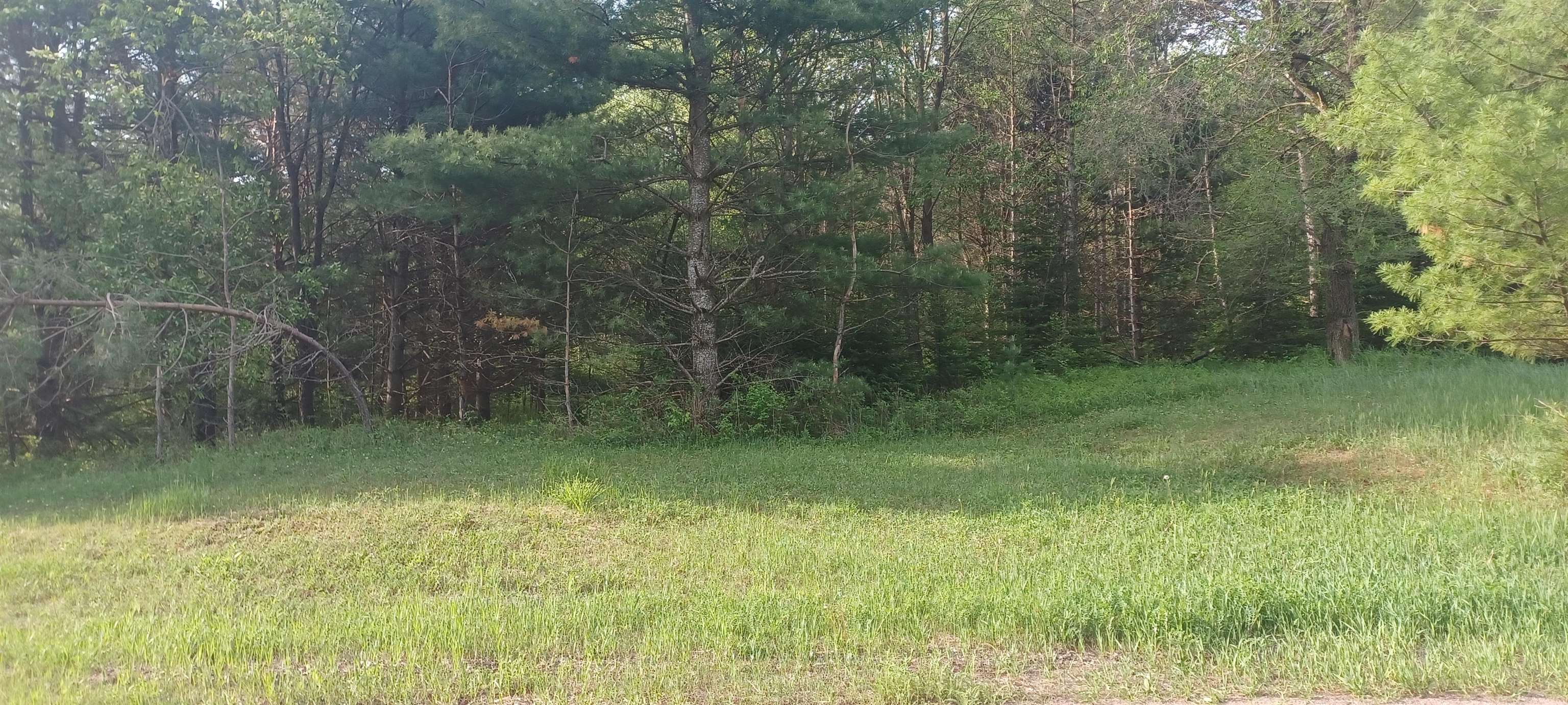 West Campfire Road Leopolis, WI 54948 - Photo 1 of 1