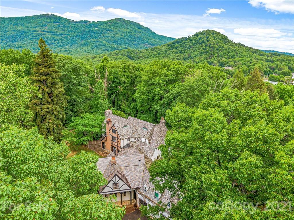 64 Peniel Road Columbus, NC 28722 - Photo 4 of 48 Gallery Image 4