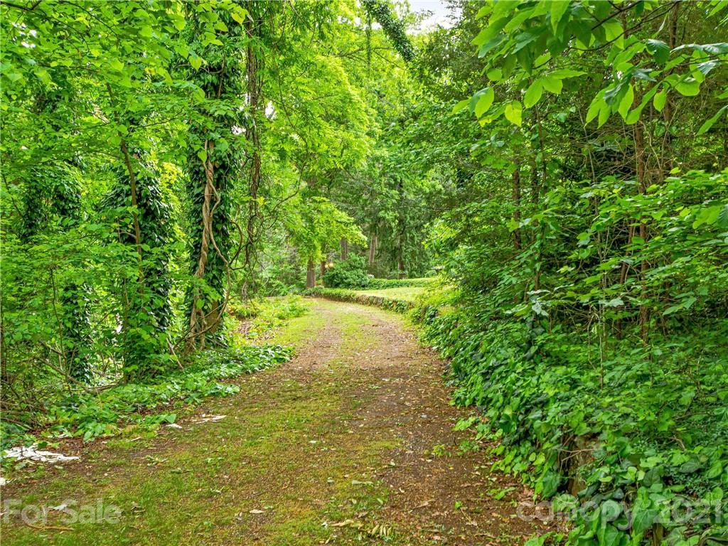 64 Peniel Road Columbus, NC 28722 - Photo 46 of 48 Gallery Image 46