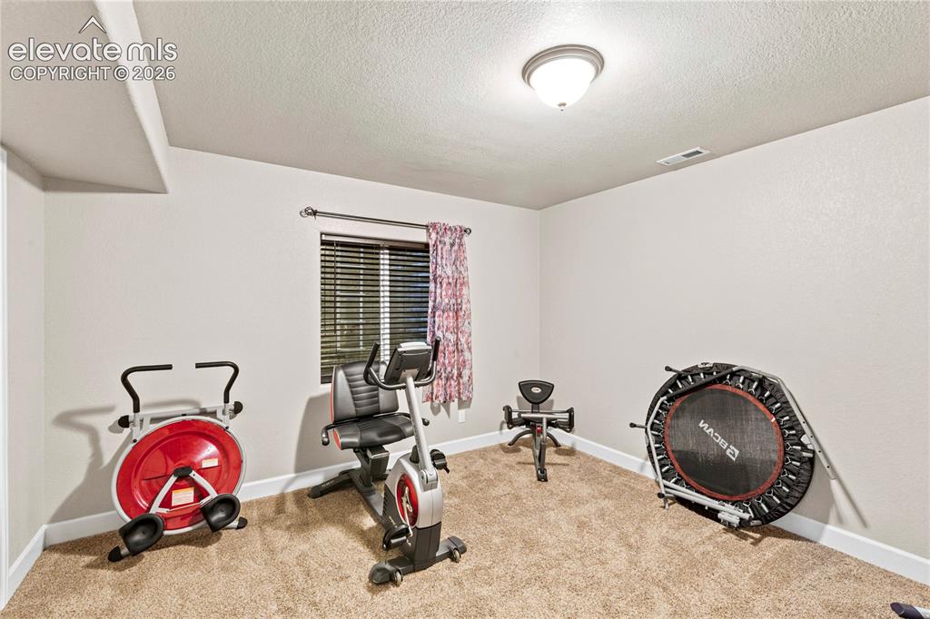 9761 Terrain Road Fountain, CO 80817 - Photo 21 of 31 Bedroom #5 in basement being used as an exercise room