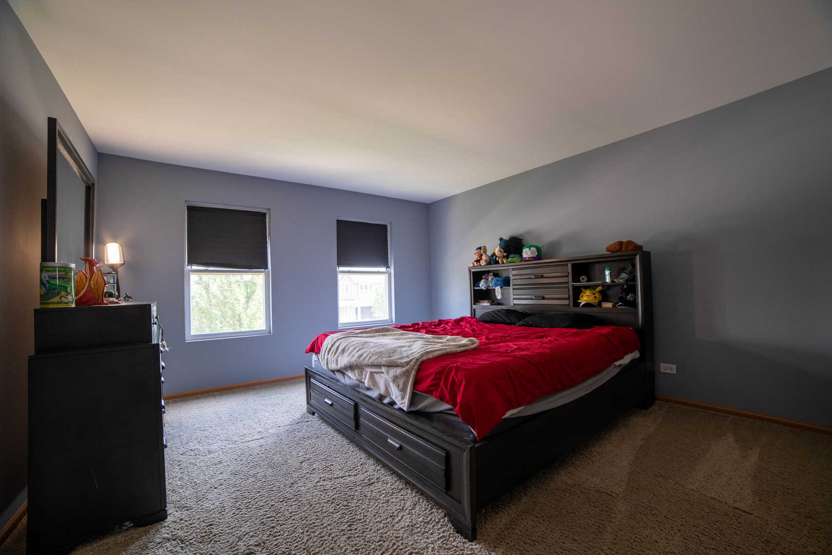 1156 Port Royal Road Pingree Grove, IL 60140 - Photo 19 of 33
