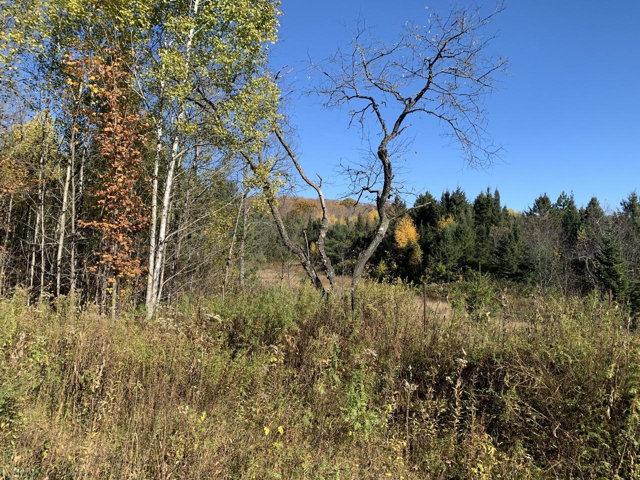 On Military Road, Unit 61 ACRES Eagle River, WI 54521 - Photo 7 of 17 Gallery Image 7