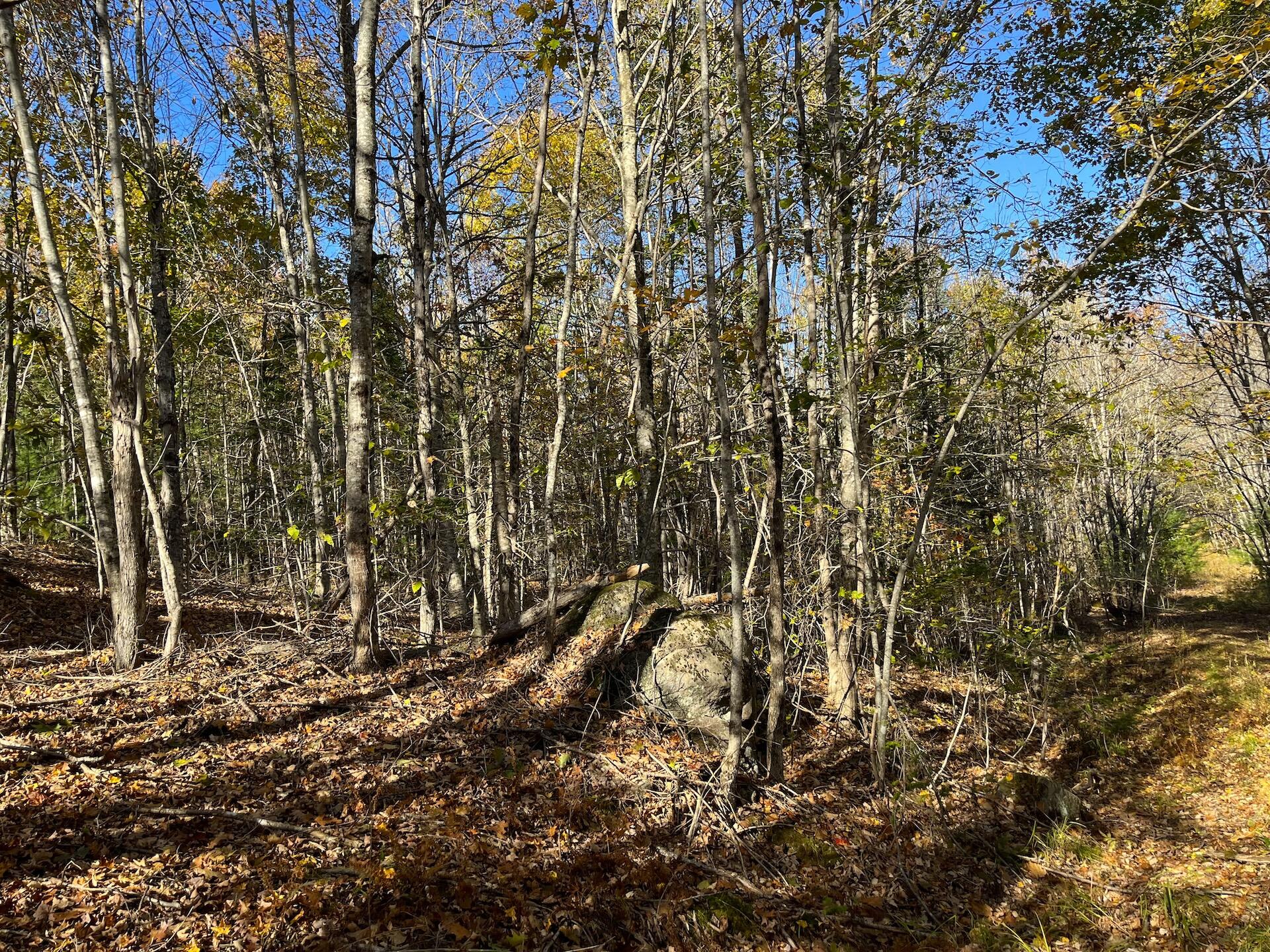 415 Curtis Road Monroe, ME 04951 - Photo 40 of 46 IMG_2713