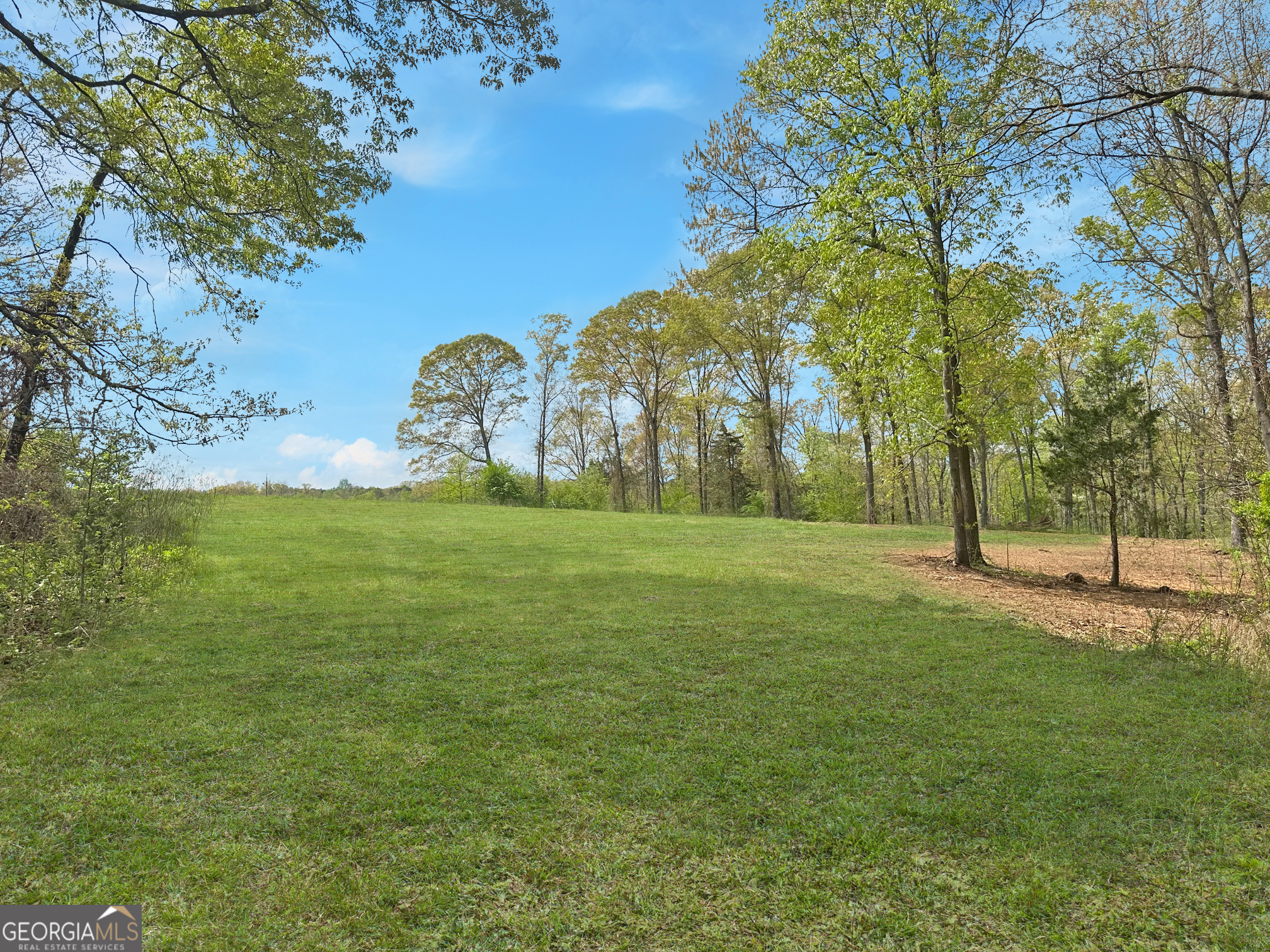 102 Broad River Road, Unit LOT 6 Eastanollee, GA 30538 - Photo 4 of 9 a view of a field with large trees