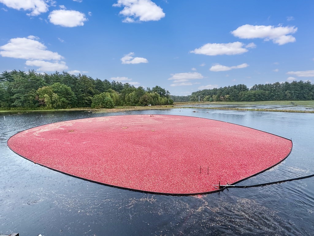1 Robbins Path Carver, MA 02330 - Photo 41 of 42 a view of a swimming pool with lake and green space
