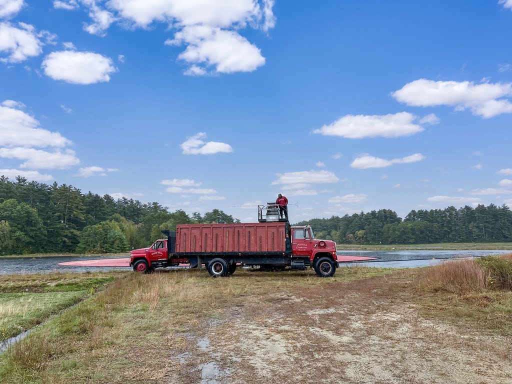 1 Robbins Path Carver, MA 02330 - Photo 42 of 42