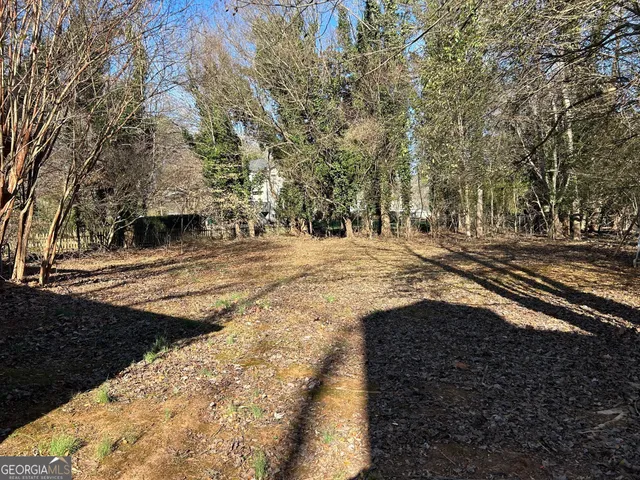 a view of road with large trees