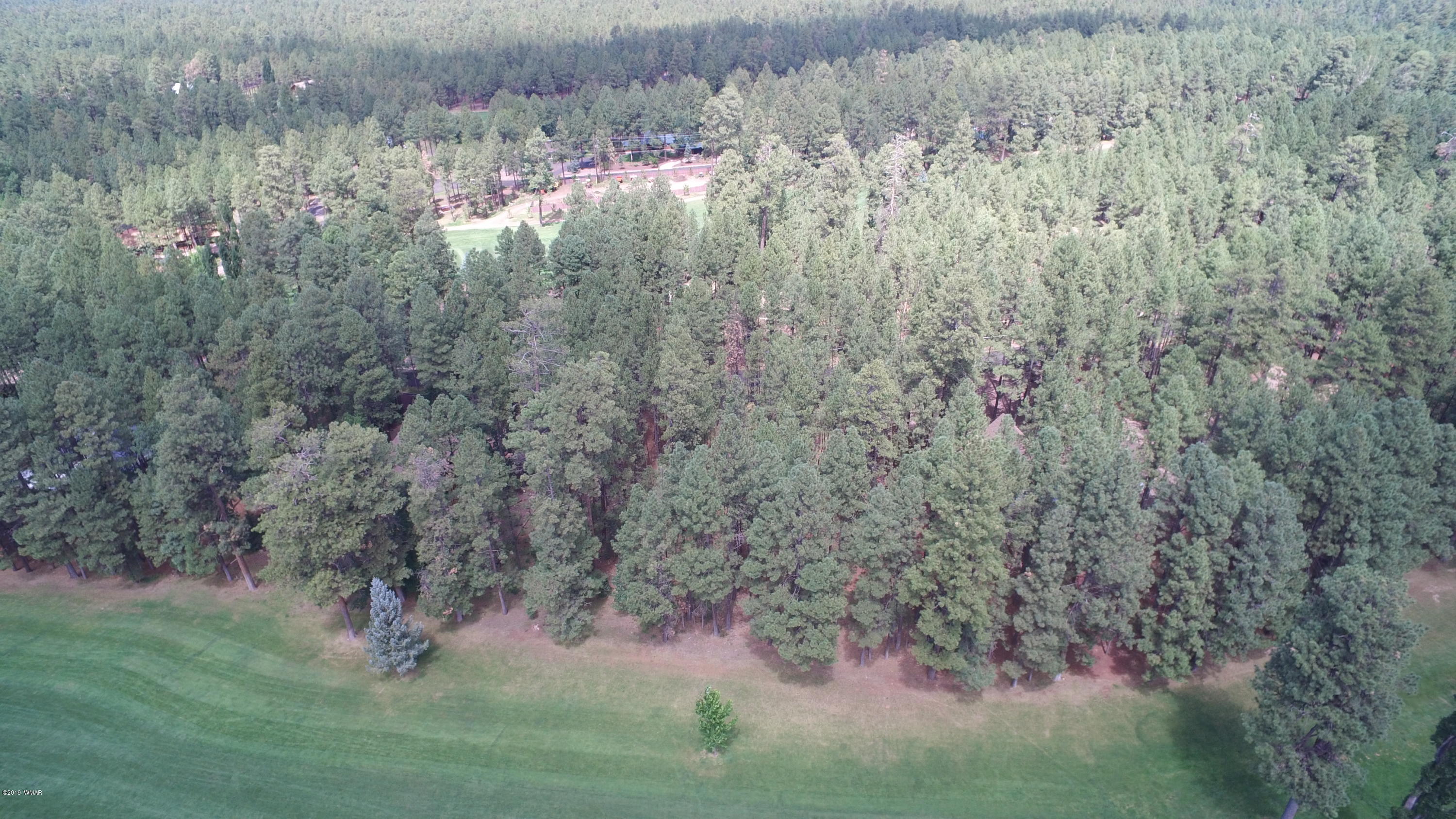7297 Geronimo Road Pinetop, AZ 85935 - Photo 1 of 57 Gallery Image 1