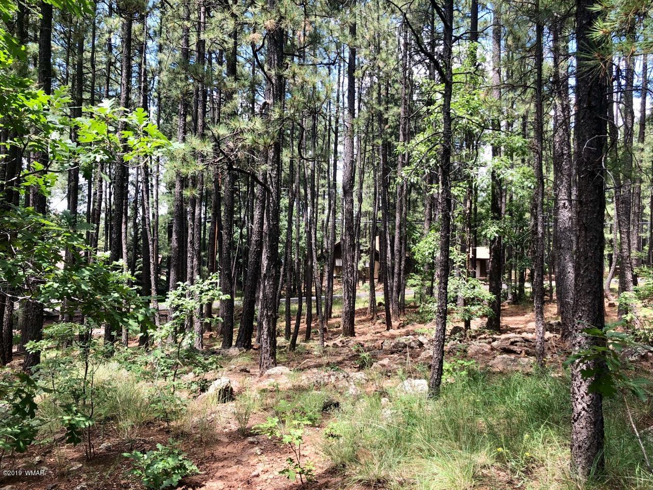 7297 Geronimo Road Pinetop, AZ 85935 - Photo 24 of 57 Gallery Image 24