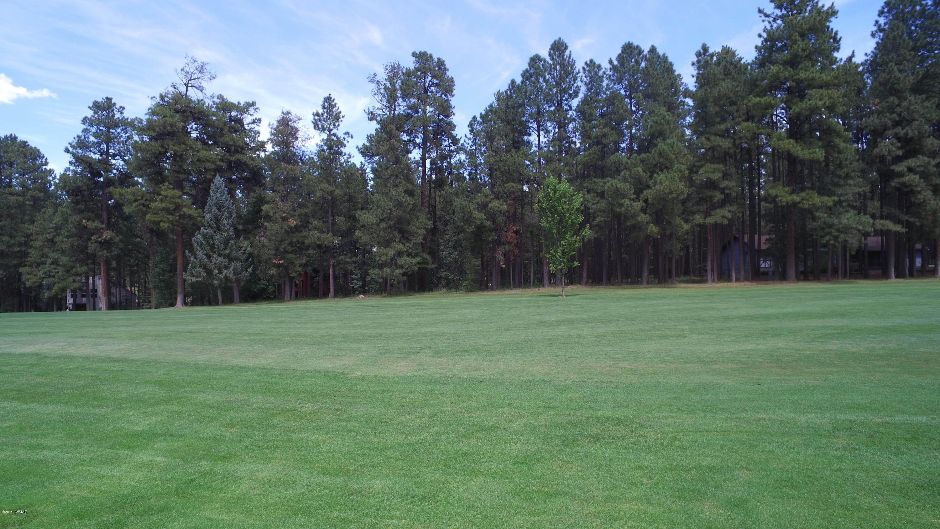 7297 Geronimo Road Pinetop, AZ 85935 - Photo 52 of 57 Gallery Image 52