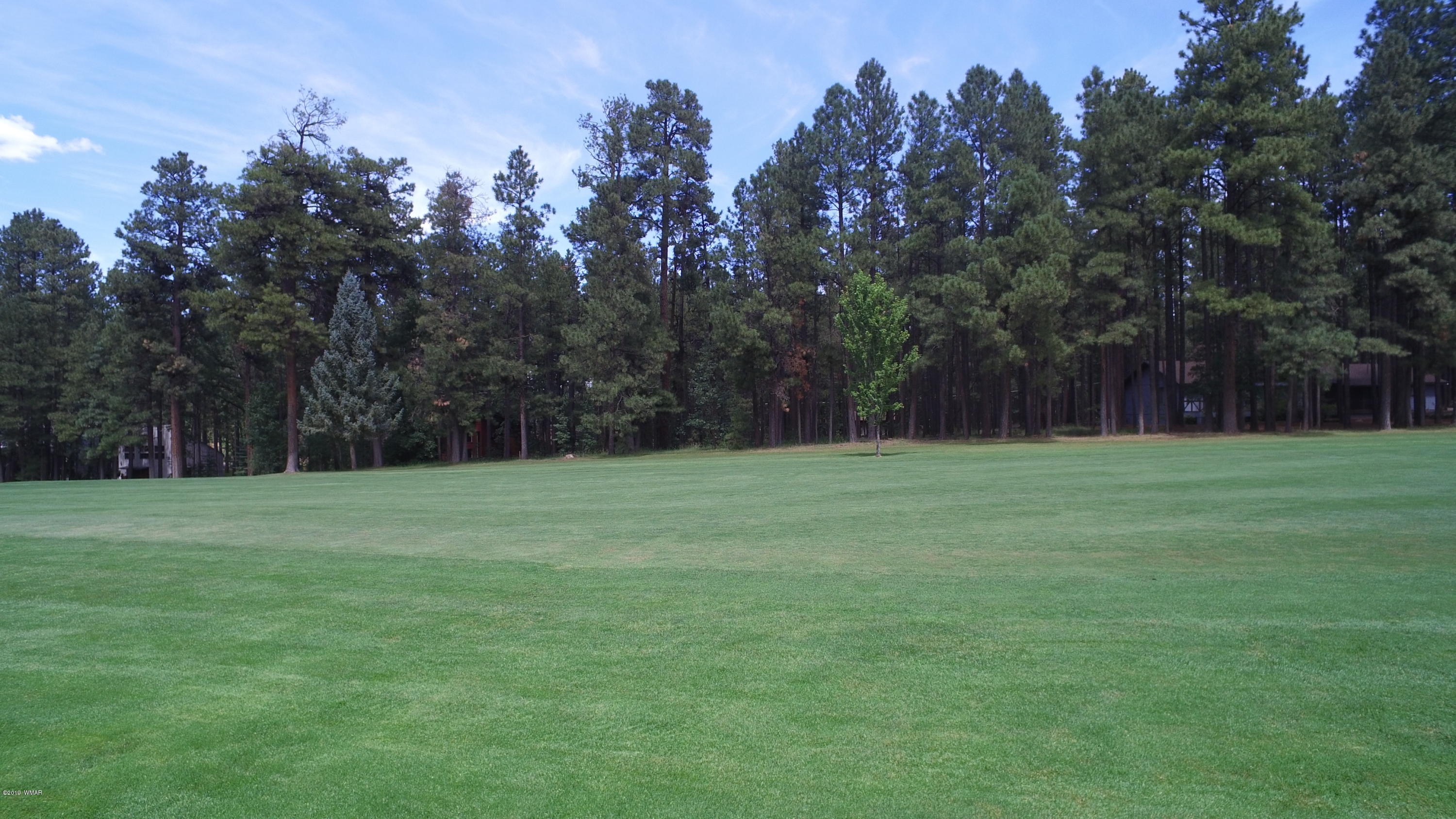 7297 Geronimo Road Pinetop, AZ 85935 - Photo 53 of 57 Gallery Image 53