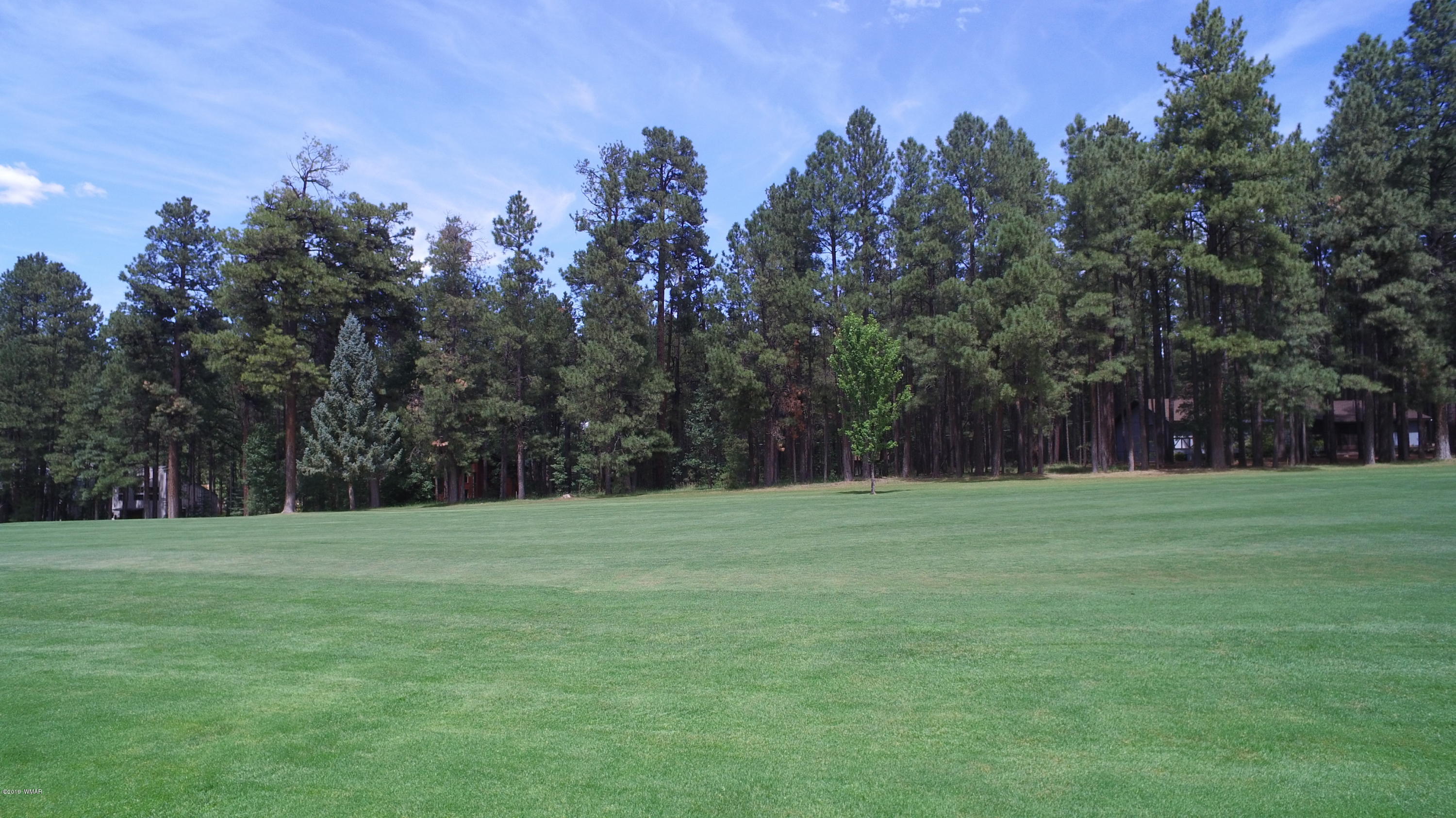 7297 Geronimo Road Pinetop, AZ 85935 - Photo 54 of 57 Gallery Image 54