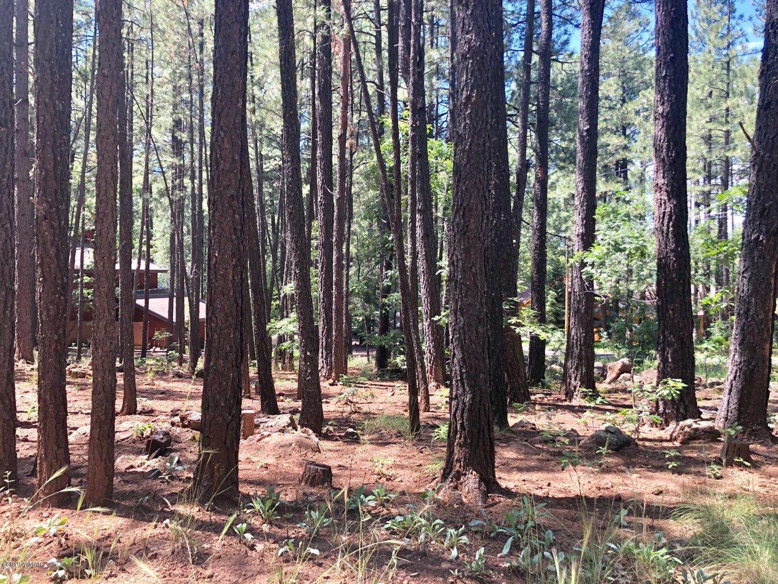 7297 Geronimo Road Pinetop, AZ 85935 - Photo 6 of 57 Gallery Image 6