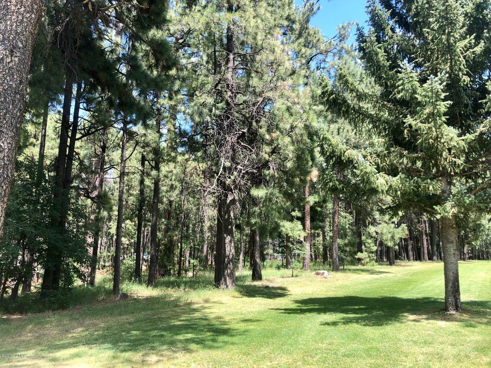 7297 Geronimo Road Pinetop, AZ 85935 - Photo 10 of 57 Gallery Image 10