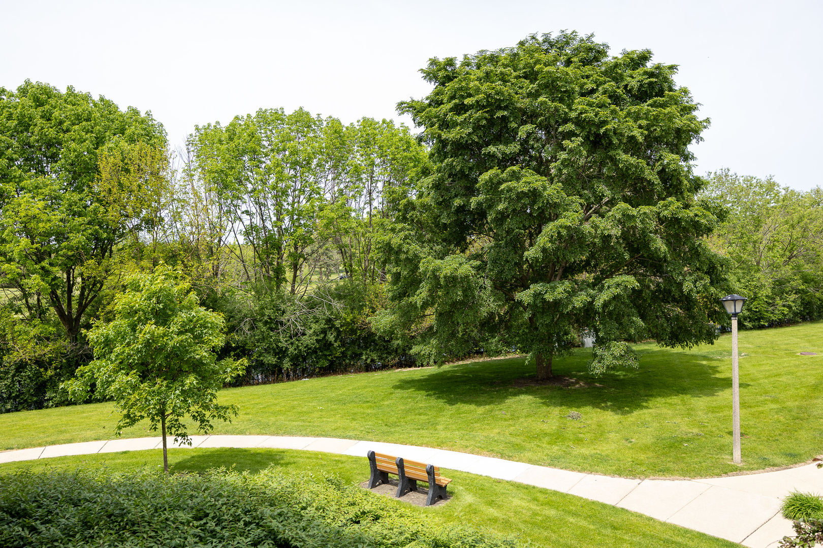 450 Raintree Court, Unit 2B Glen Ellyn, IL 60137 - Photo 22 of 28 a view of a park