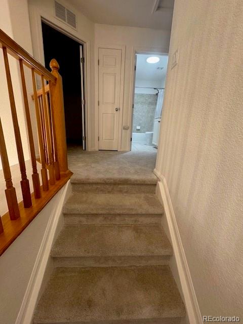 4774 Drowsy Water Road Castle Rock, CO 80108 - Photo 13 of 30