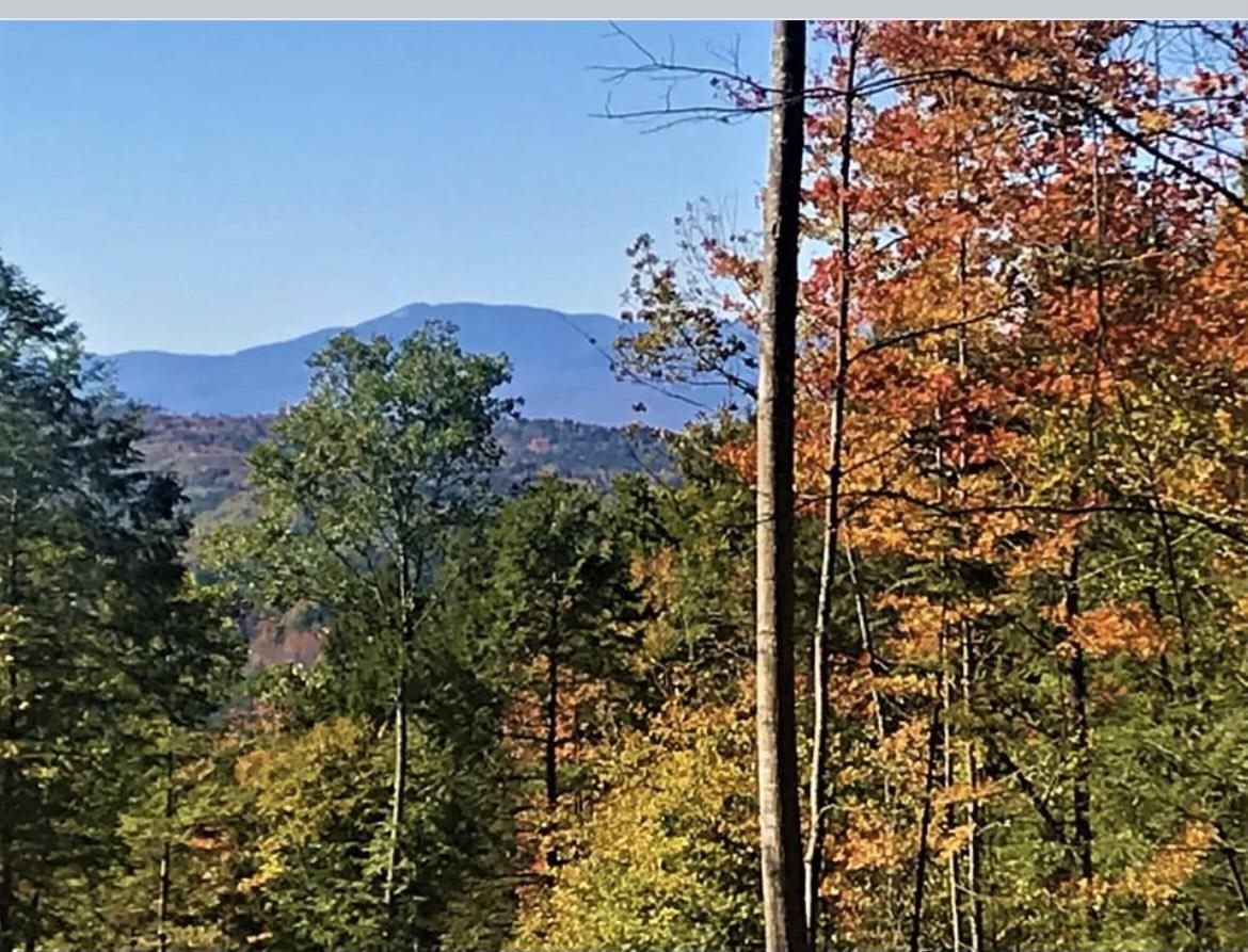 0 Youngs Hill Road Freedom, NH 03836 - Photo 1 of 40