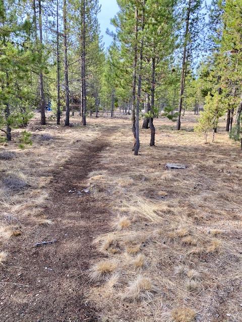 54920 Huntington Road Bend, OR 97707 - Photo 22 of 32 Trails heading East to the Deschutes National Forest