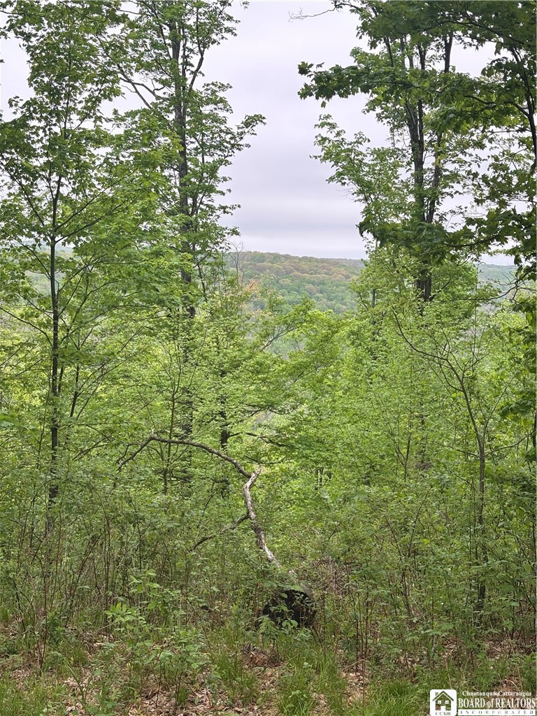 Fulmer Valley Road Wellsville, NY 14895 - Photo 45 of 49