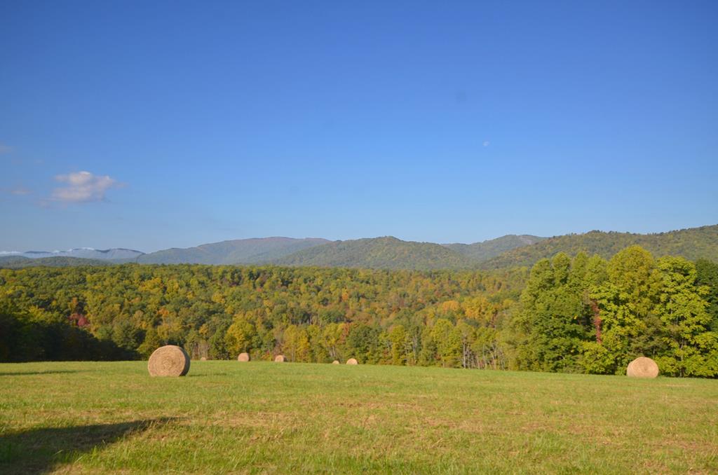 880 Johnny's Ridge Road Ferrum, VA 24088 - Photo 42 of 47 Gallery Image 42