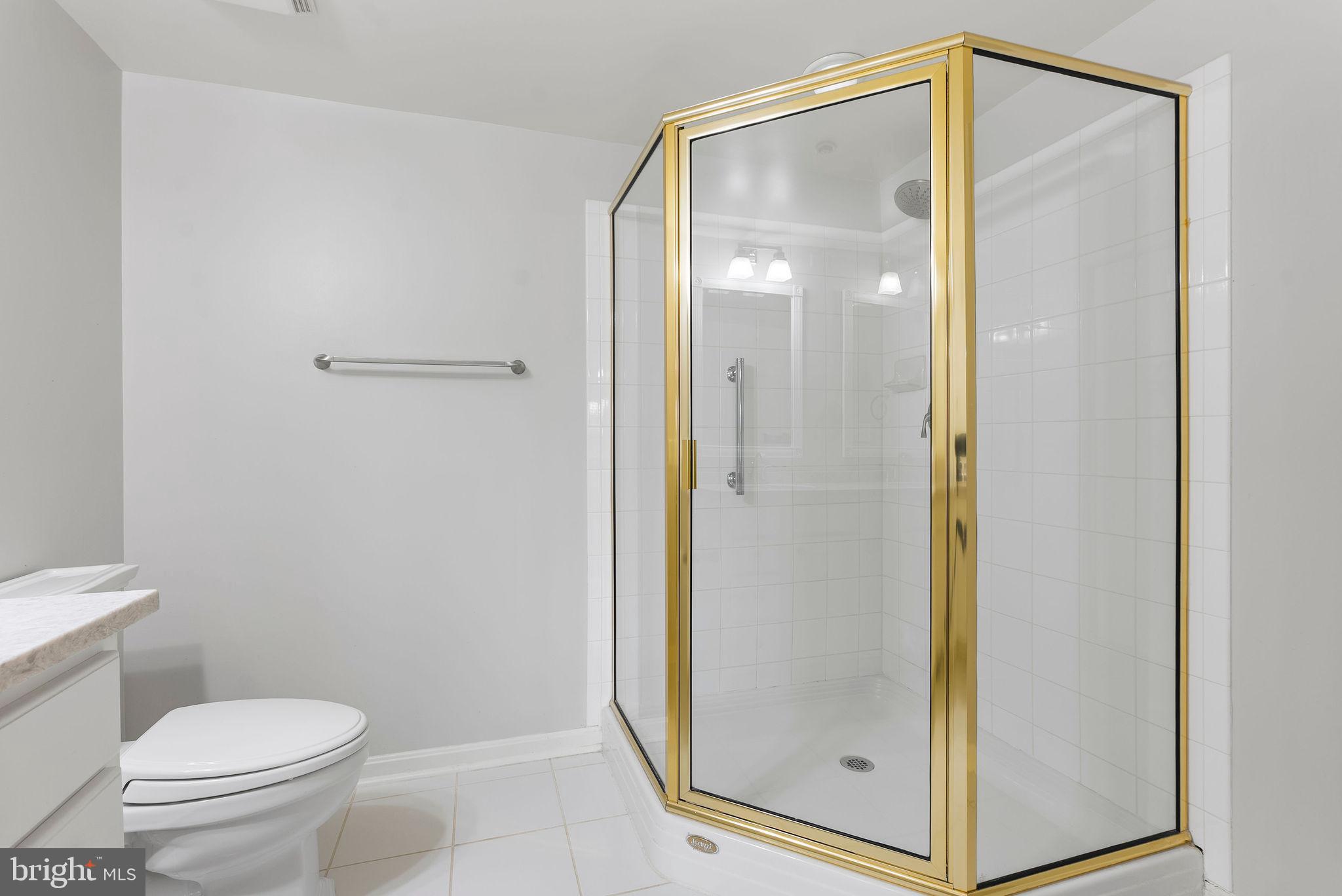 12246 Roundwood Road, Unit 506 Lutherville-Timonium, MD 21093 - Photo 23 of 32 Primary Shower