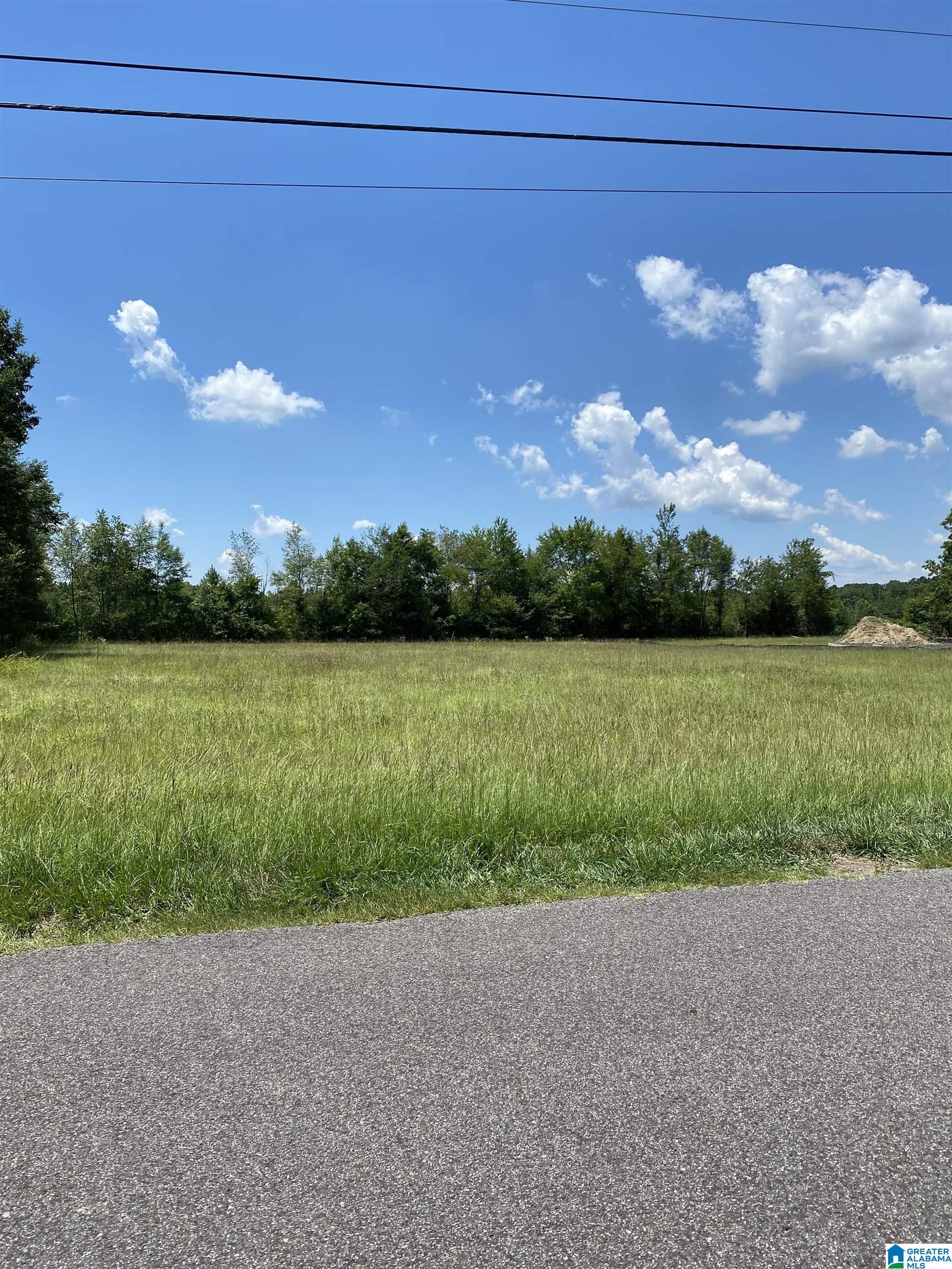 0 Myers Road Odenville, AL 35120 - Photo 1 of 7