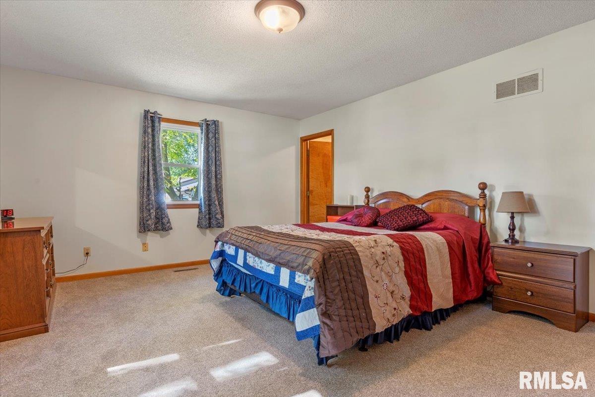211 West Oak Street Palmyra, IL 62674 - Photo 16 of 36