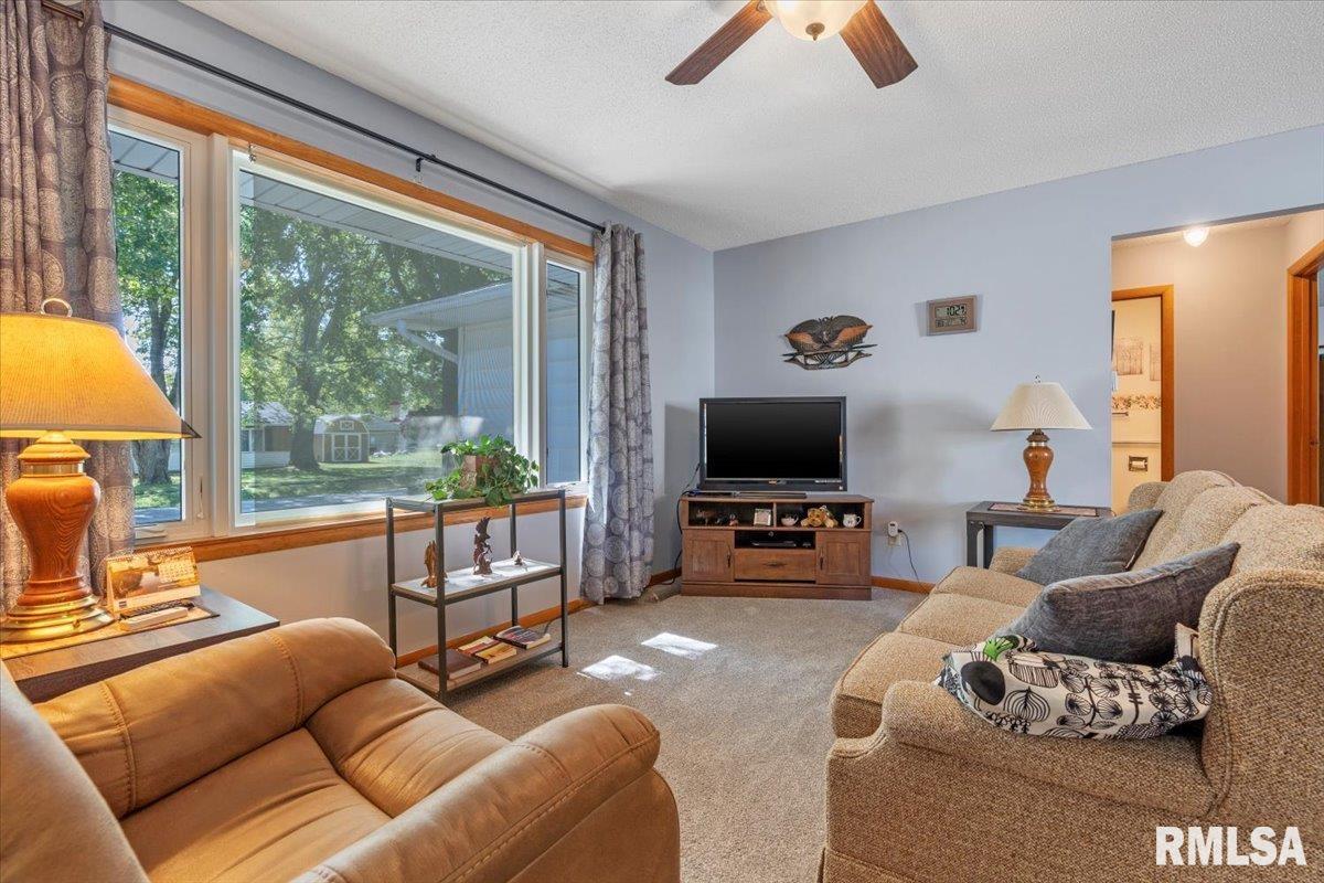 211 West Oak Street Palmyra, IL 62674 - Photo 5 of 36