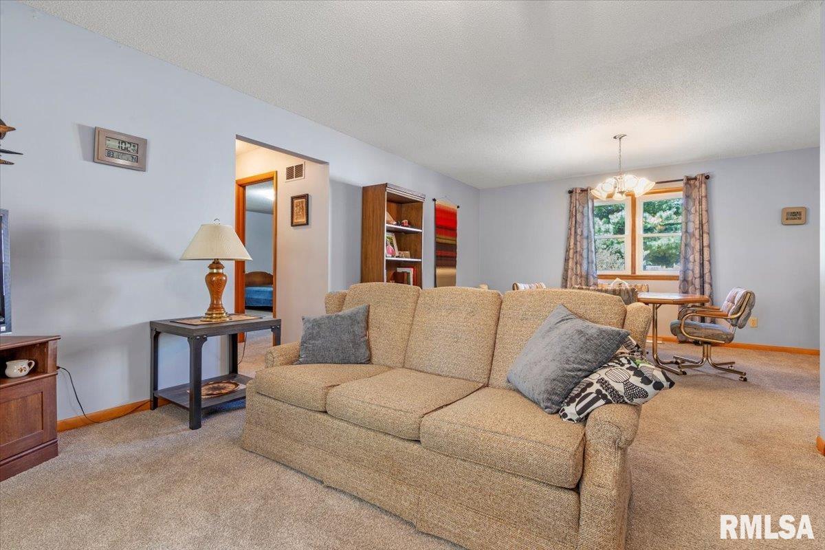 211 West Oak Street Palmyra, IL 62674 - Photo 6 of 36