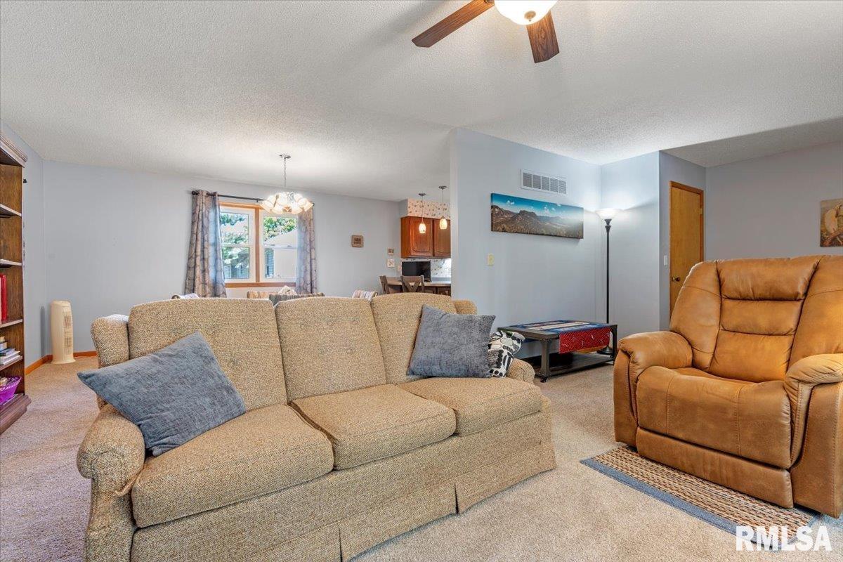 211 West Oak Street Palmyra, IL 62674 - Photo 7 of 36
