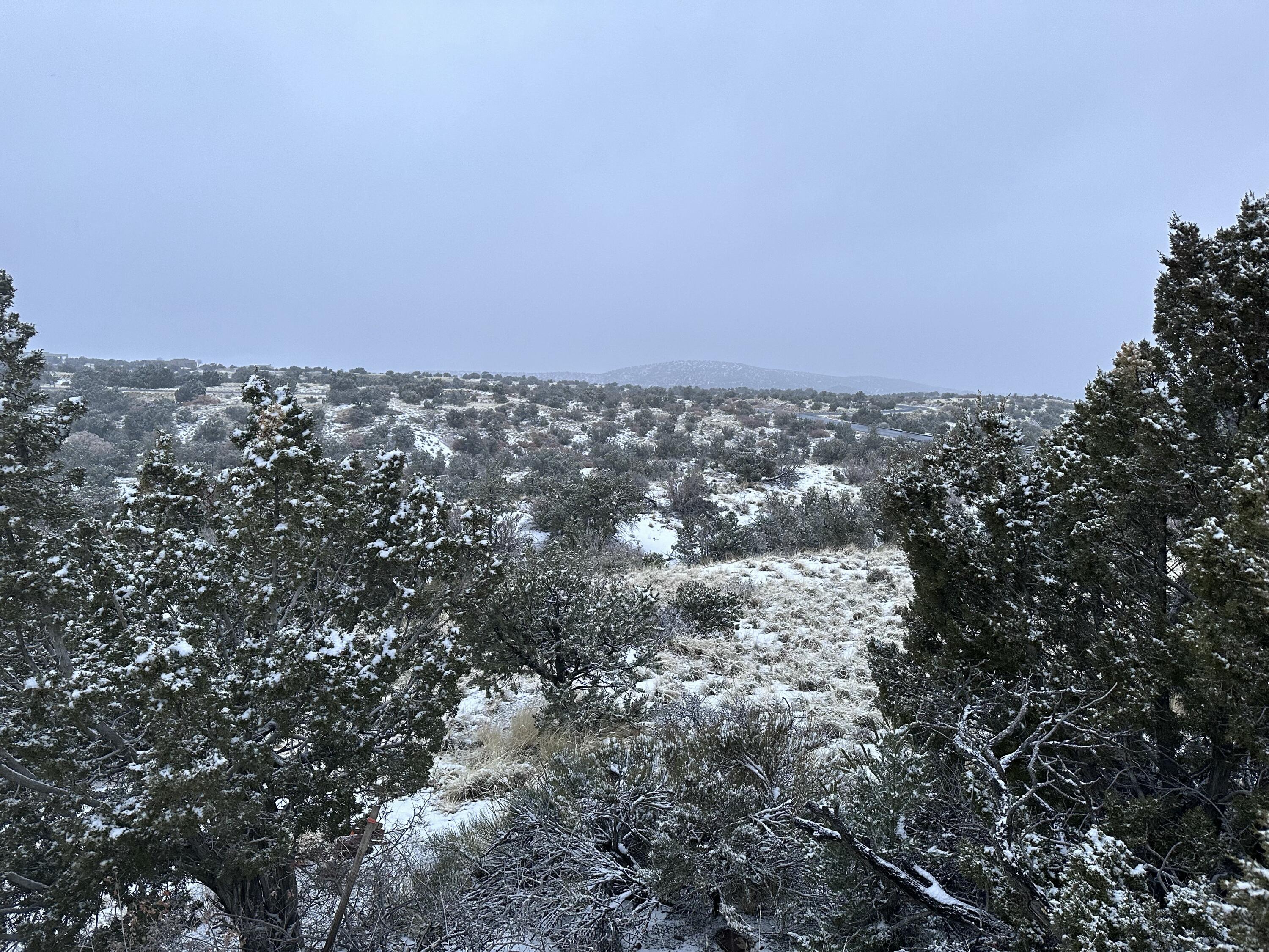 101 Wild Primrose Road Placitas, NM 87043 - Photo 6 of 17 Gallery Image 6