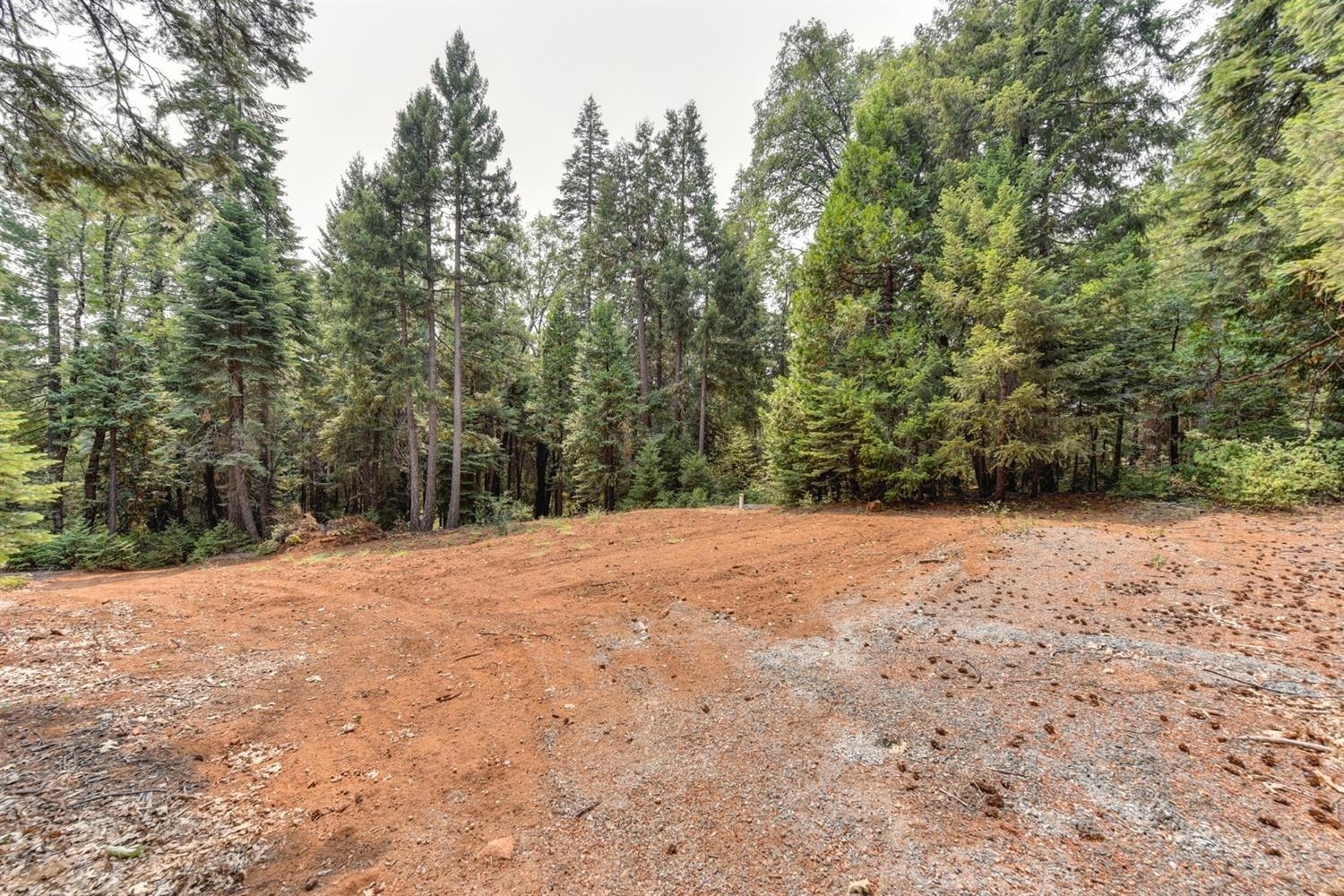 0 Culberson Road Alta, CA 95701 - Photo 11 of 27