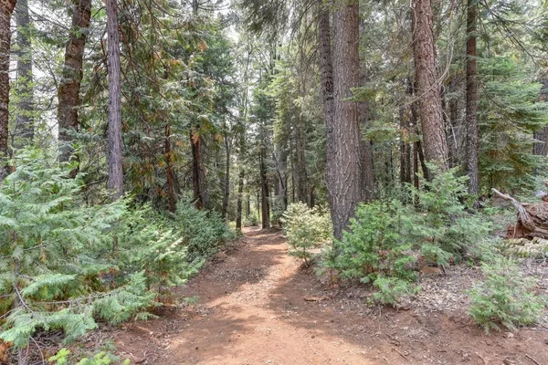 $155,000 | 0 Culberson Road, Alta, CA 95701