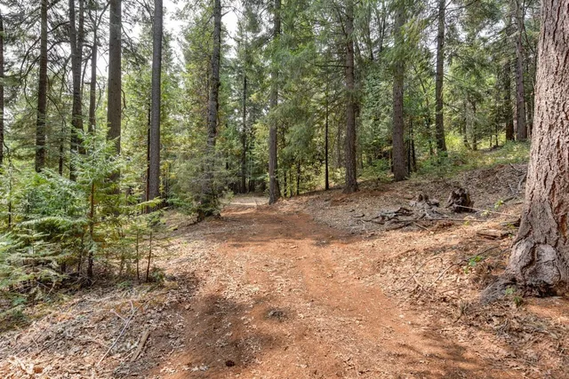$155,000 | 0 Culberson Road, Alta, CA 95701