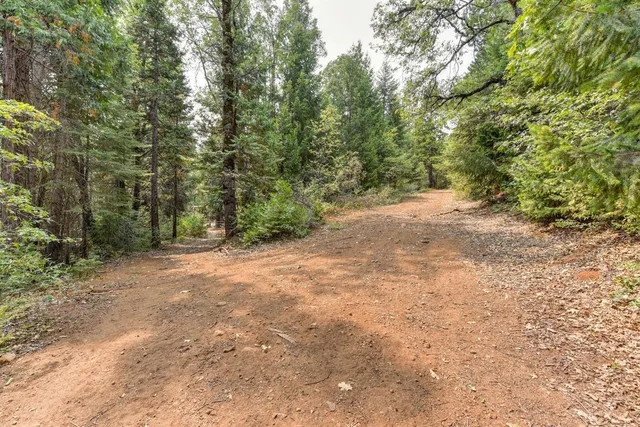 $155,000 | 0 Culberson Road, Alta, CA 95701