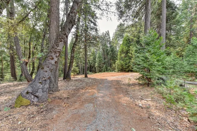 $155,000 | 0 Culberson Road, Alta, CA 95701