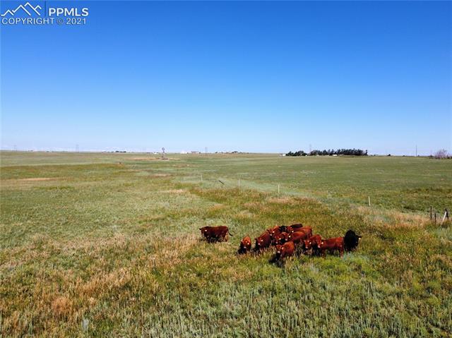 0 Judge Orr Road Rush, CO 80833 - Photo 2 of 23