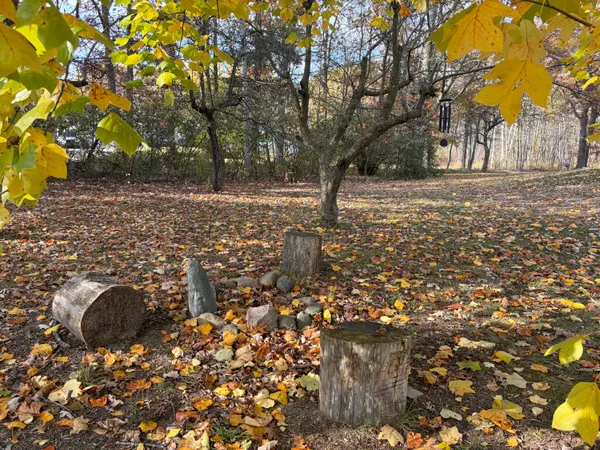 $349,900 | 16300 McClure Avenue Northeast, Sand Lake, MI 49343